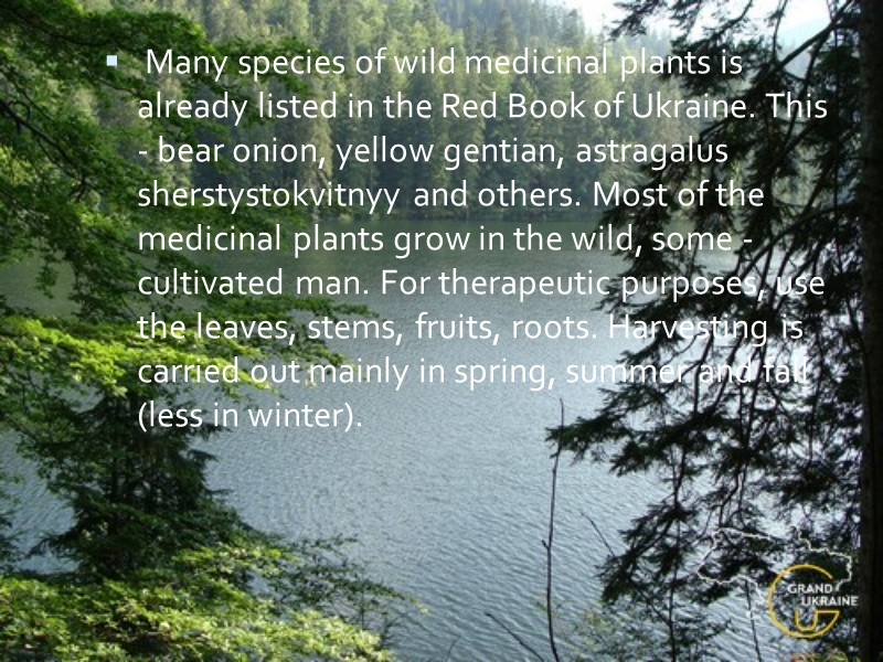 Many species of wild medicinal plants is already listed in the Red Book of